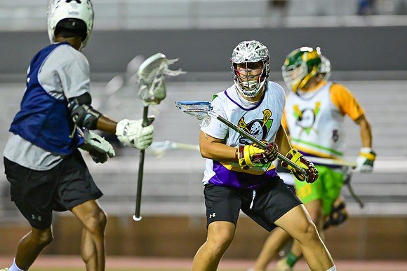 MDLL-UMBC-01259