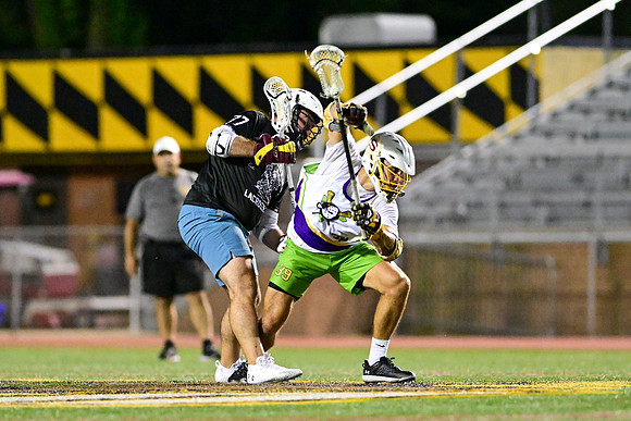 MDLL-UMBC-01285