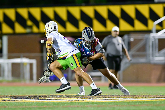 MDLL-UMBC-01310