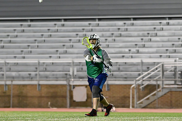 MDLL-UMBC-01393