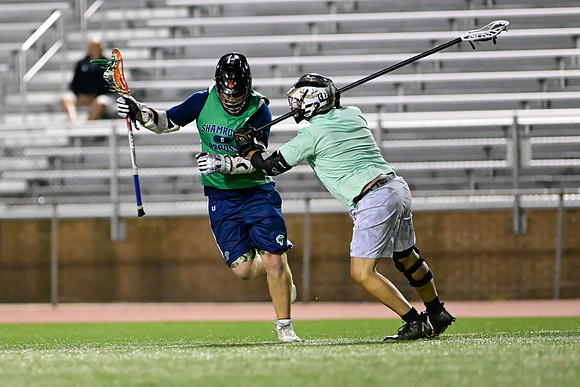 MDLL-UMBC-01480