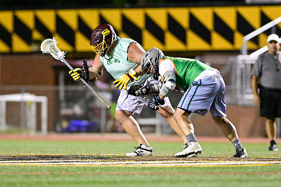 MDLL-UMBC-01513