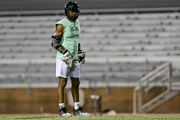 MDLL-UMBC-01538