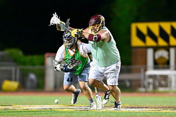 MDLL-UMBC-01731