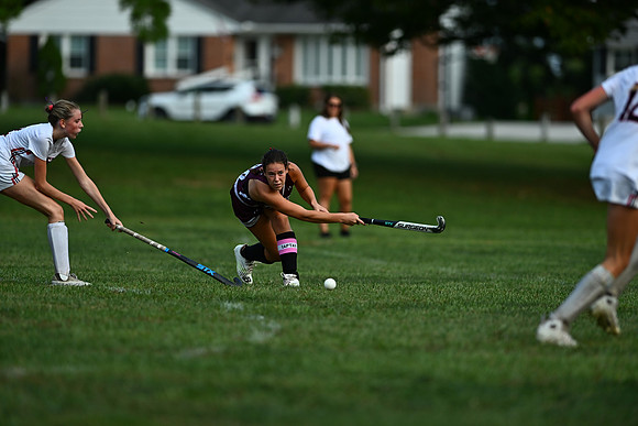Dulaney-v-Towson-04031