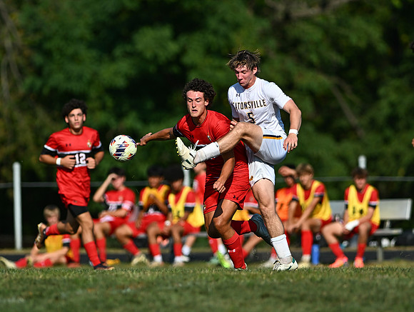 Lions-00635