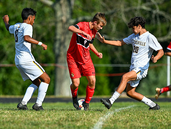 Lions-00705