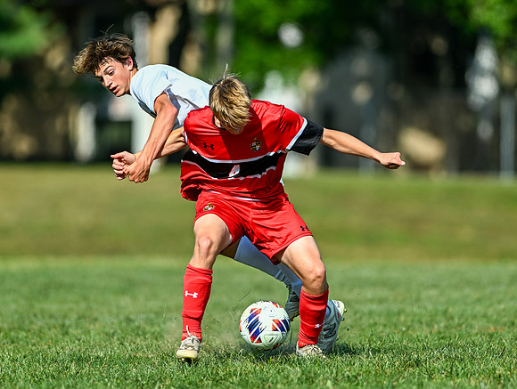 Lions-00258