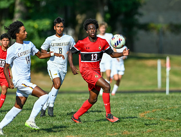 Lions-00464