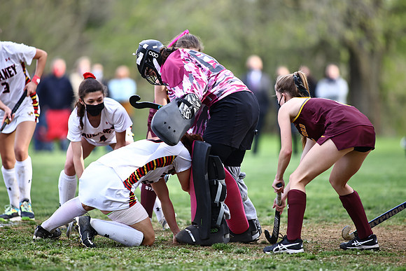 Dulaney-v-Hereford243