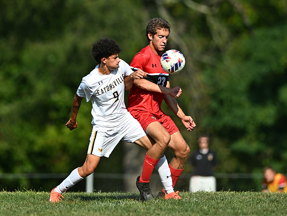 Lions-00381