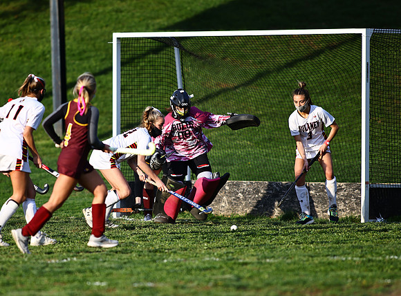Dulaney-v-Hereford588