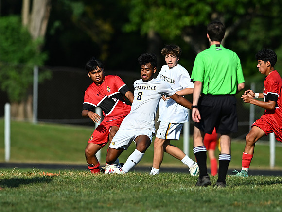 Lions-00967