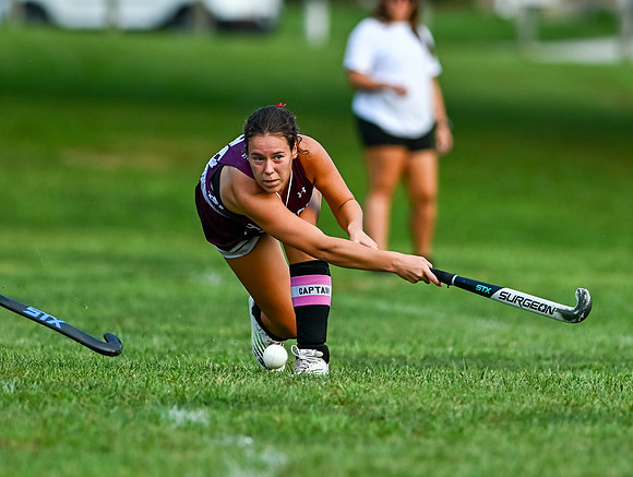 Dulaney-v-Towson-04030
