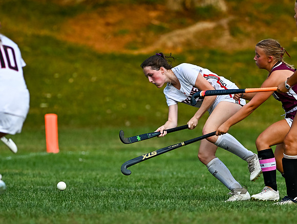 Dulaney-v-Towson-04571