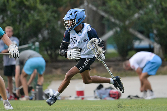MdLax-08154