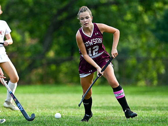 Dulaney-v-Towson-03182