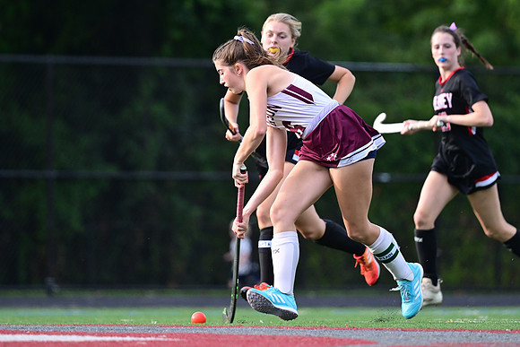 Dulaney-v-TowsonW01369