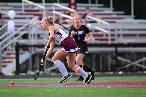Dulaney-v-TowsonW01806
