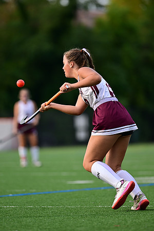 Dulaney-v-TowsonW01881