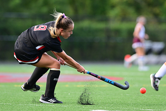 Dulaney-v-TowsonW01915