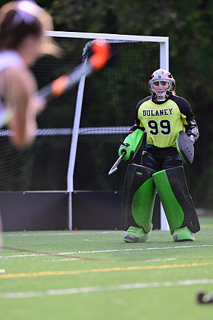 Dulaney-v-TowsonW02138