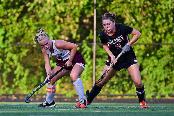 Dulaney-v-TowsonW03055