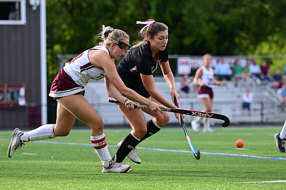 Dulaney-v-TowsonW03726