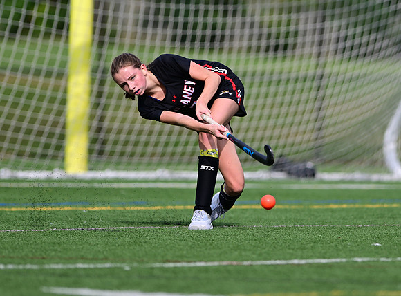 Dulaney-v-TowsonW00066
