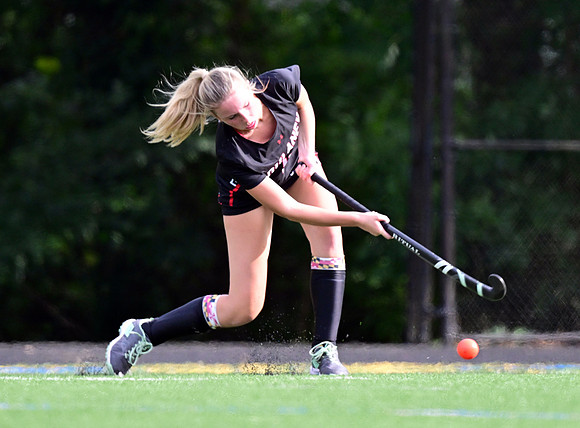 Dulaney-v-TowsonW00117