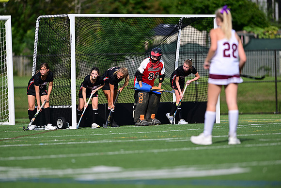 Dulaney-v-TowsonW00275