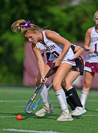 Dulaney-v-TowsonW00282