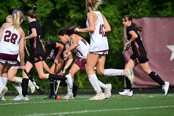 Dulaney-v-TowsonW00358