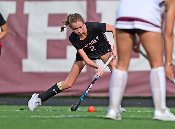 Dulaney-v-TowsonW00373