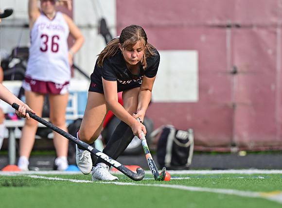 Dulaney-v-TowsonW00450