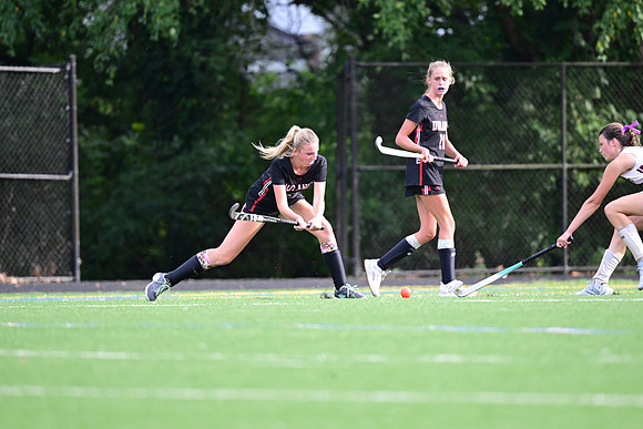 Dulaney-v-TowsonW00486