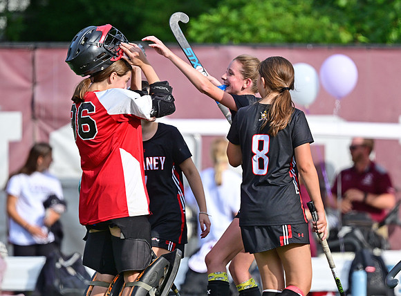 Dulaney-v-TowsonW00659