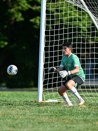 Lions-00869