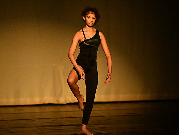 NTHSSeniorShowcase0414