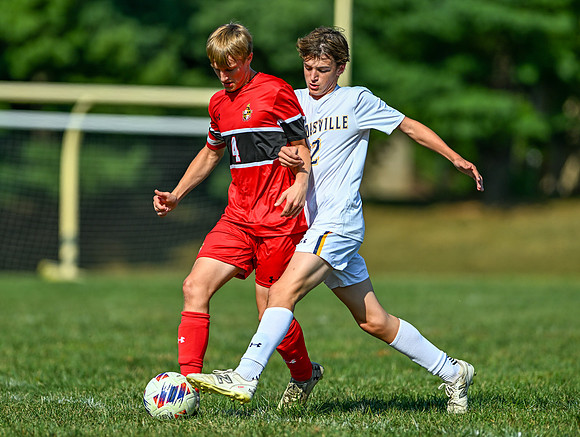 Lions-00268