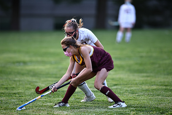 Dulaney-v-Hereford628