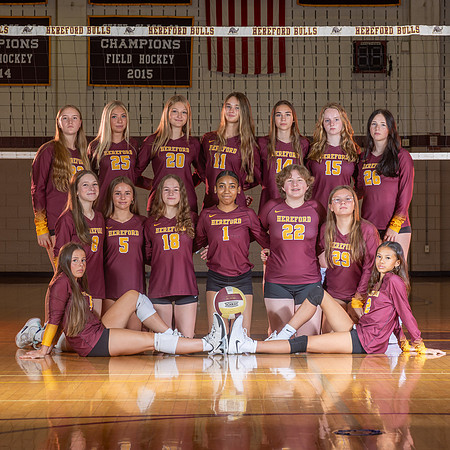 BullsVB-00415-2
