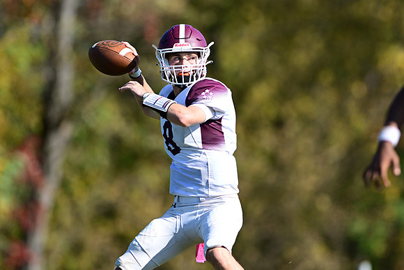 Dulaney-v-Towson1489
