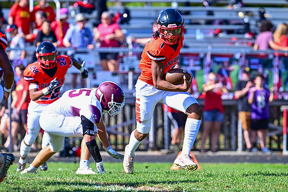 Dulaney-v-Towson1521