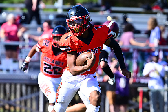 Dulaney-v-Towson1527