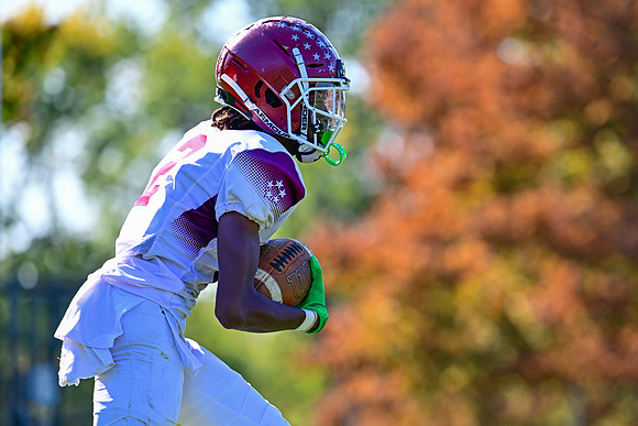 Dulaney-v-Towson1675
