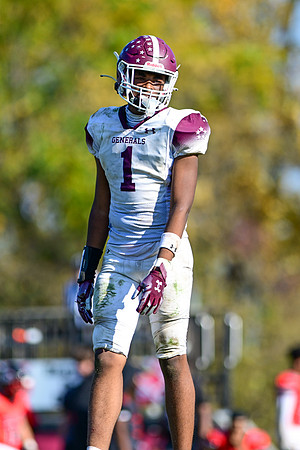 Dulaney-v-Towson1848
