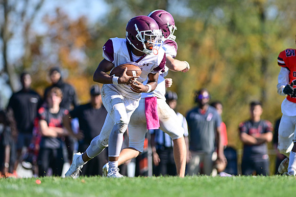 Dulaney-v-Towson1872