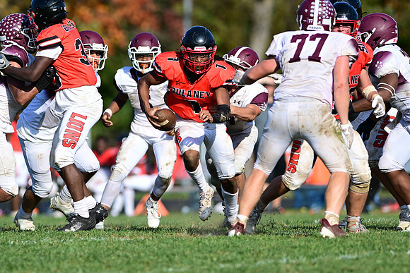 Dulaney-v-Towson3081