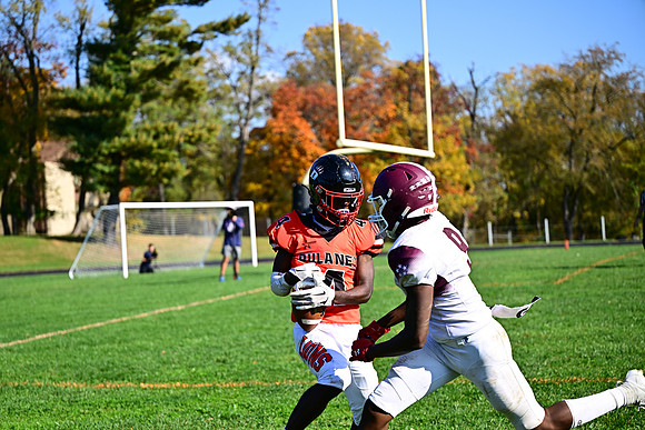 Dulaney-v-Towson3358